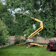 Best Stump Grinding and Removal  in Newark, DE