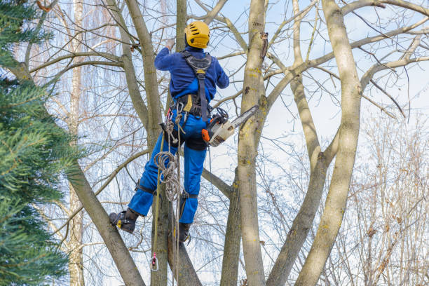  Newark, DE Tree Care Pros